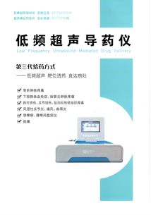 低频超声导药仪 无痛快捷